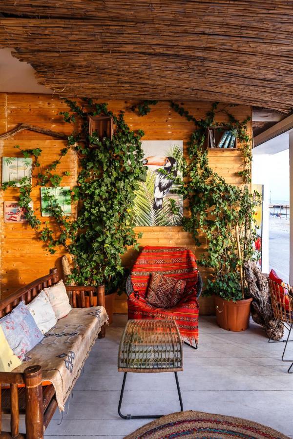 Marabou Hotel ペフコホリ エクステリア 写真
